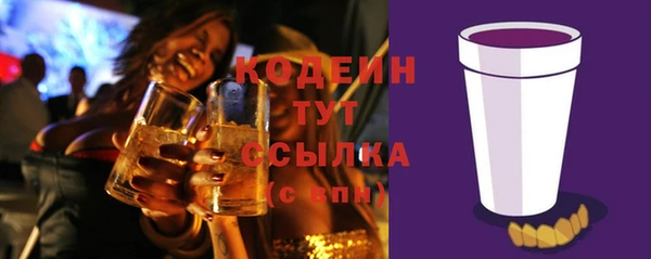 хмурый Аркадак