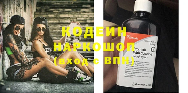 хмурый Аркадак