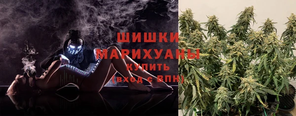 хмурый Аркадак