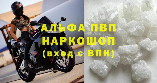 хмурый Аркадак