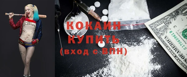 хмурый Аркадак