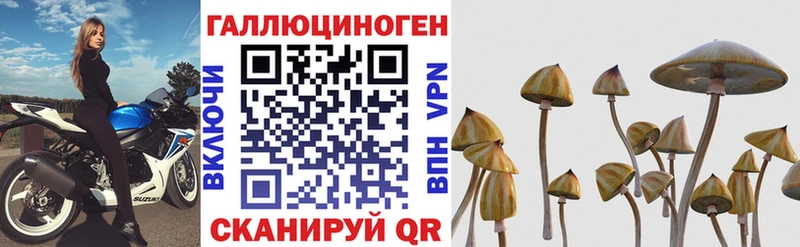 Галлюциногенные грибы прущие грибы  наркота  Усть-Джегута 
